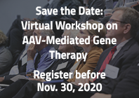 Save the Date: Virtual Workshop on AAV-Mediated Gene Therapy Meeting Register before November 30, 2020