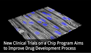 New Clinical Trials on a Chip Program Aims to Improve Drug Development Process