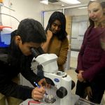 Students examining their crystals