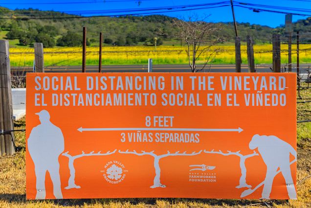 Yountville, USA - February 27, 2021: Social distancing sign during the COVID-19 pandemic with grape vines at a vineyard in Napa Valley, California.