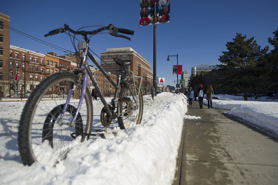 cu11-3305-SUNSNOW-017.jpg