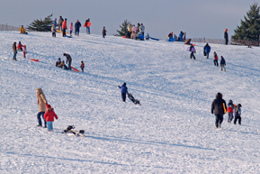 sledding.jpg