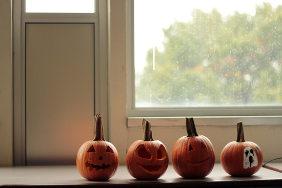 Boston University, things to do Halloween, College Night MFA After Dark, Taza Chocolate, Berklee Cat Video Festival, movies, food, restaurants