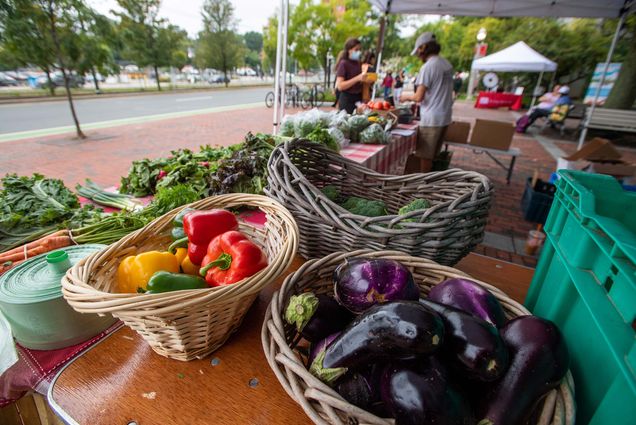 Photo of wicker baskets of produce at the farmer’s market at the GSU plaza. The baskets are filled with eggplants, peppers, and broccoli. Miscellaneous greens are seen in the background, as well as two people at the market.