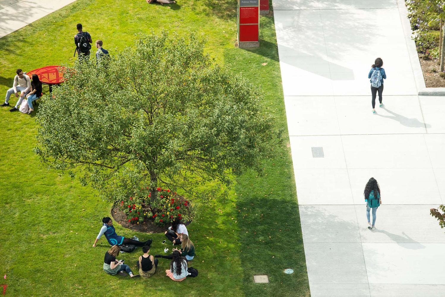 Photo: A patch of grass on BU's campus, photographed from above