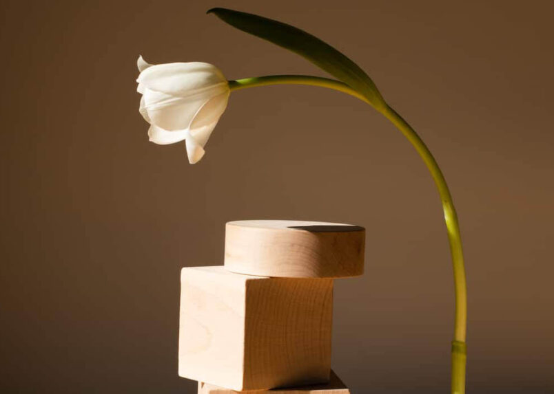 HBR: Are You Missing Growth Opportunities for Your Platform?