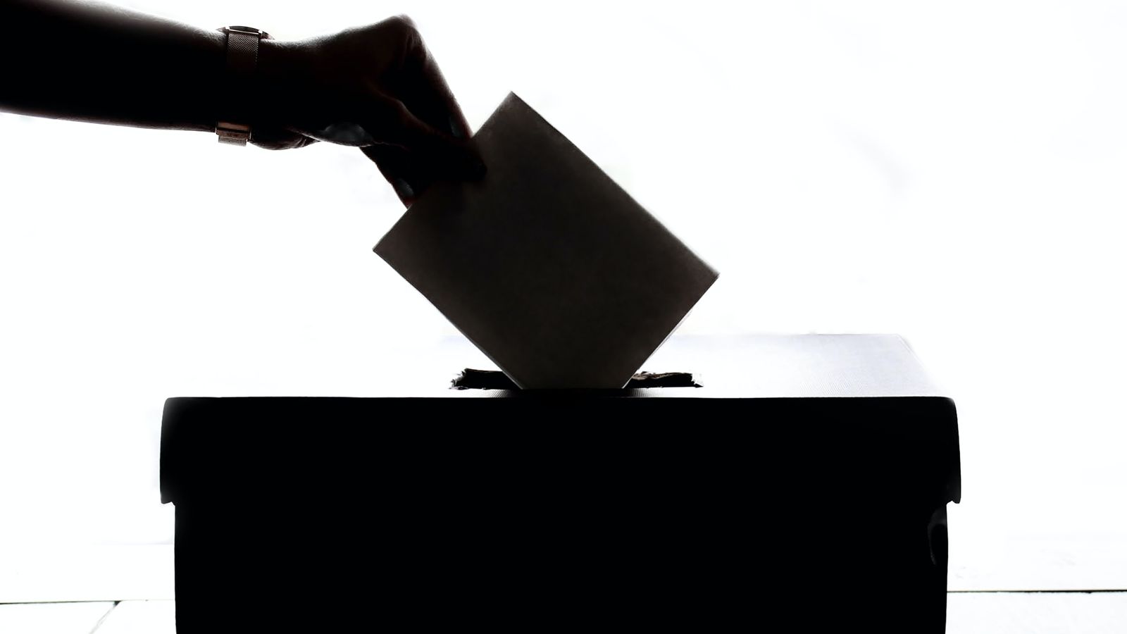 person-voting