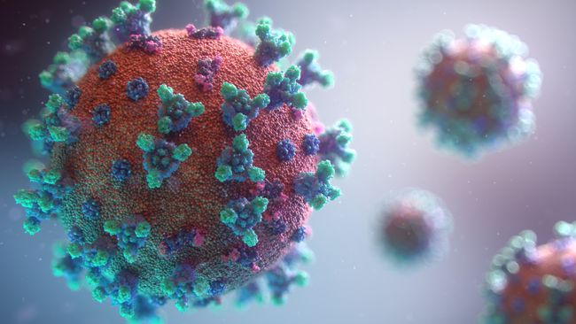 Visualization of the Covid-19 virus