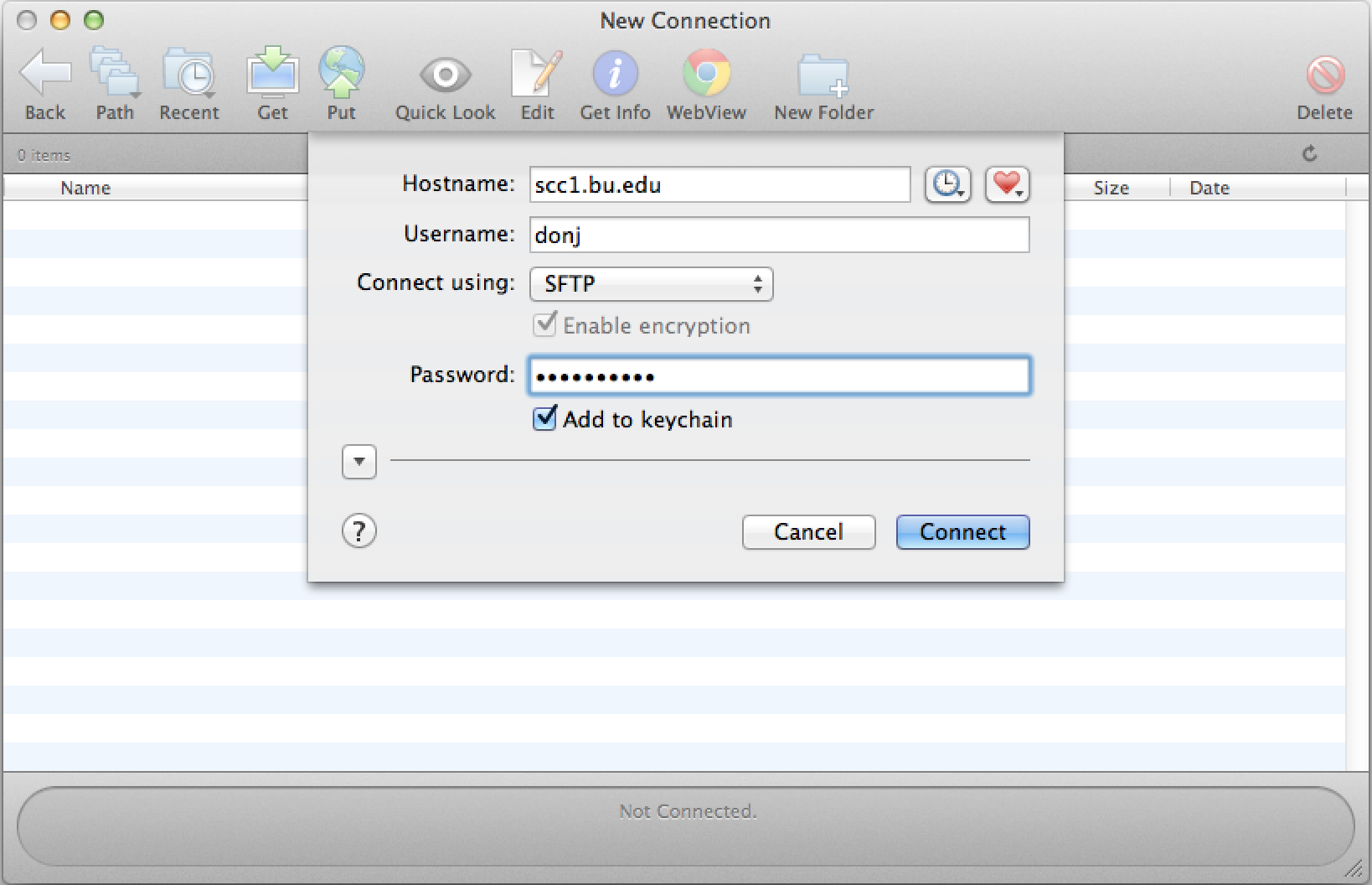 Gray connectivity window with empty fields for Hostname, Username, and Connect. Fill the fields and press "Connect" at bottom right.